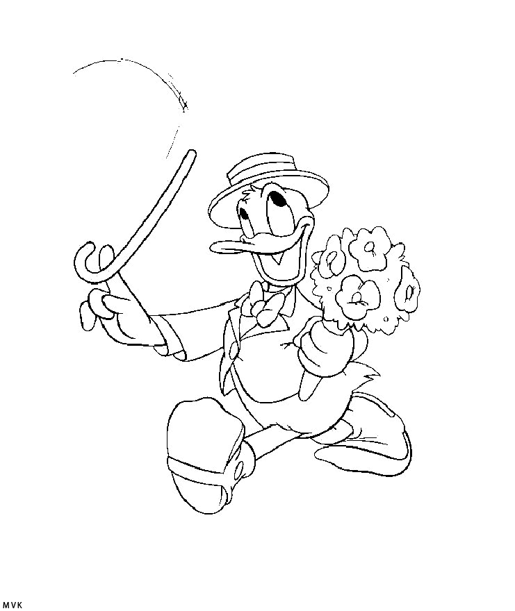 donald duck020
